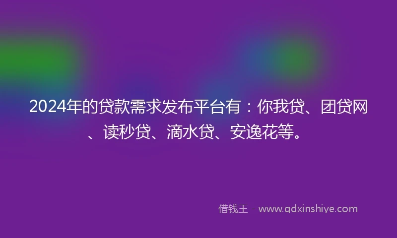 2024年的贷款需求发布平台有：你我贷、团贷网、读秒贷、滴水贷、安逸花等。
