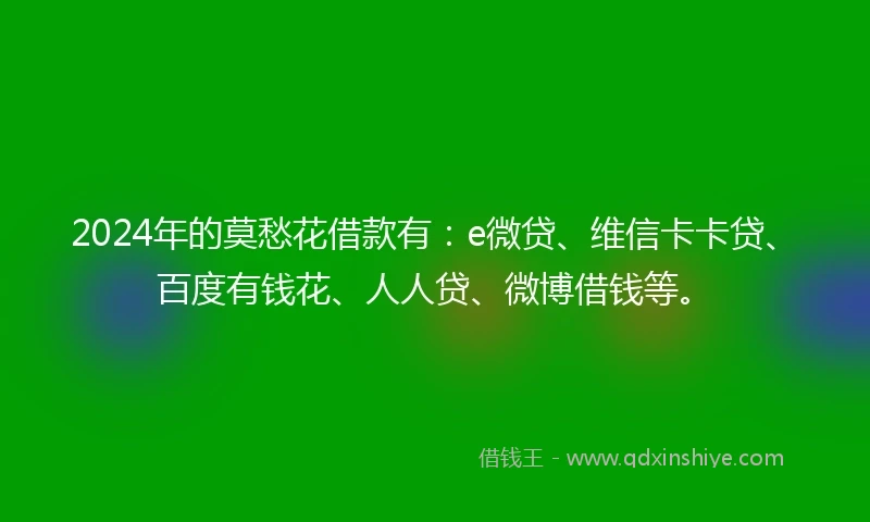 2024年的莫愁花借款有：e微贷、维信卡卡贷、百度有钱花、人人贷、微博借钱等。