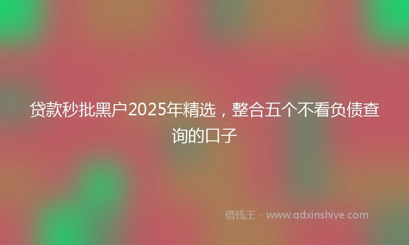 贷款秒批黑户2025年精选，整合五个不看负债查询的口子