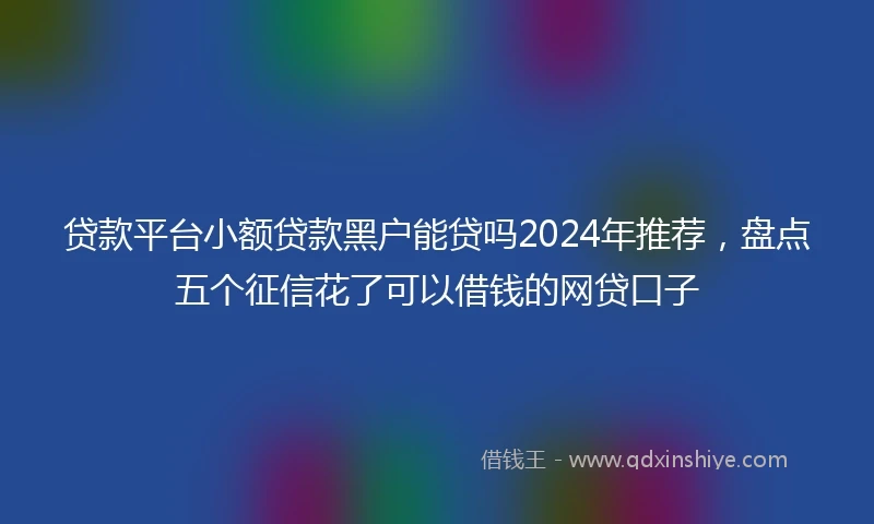 贷款平台小额贷款黑户能贷吗2024年推荐，盘点五个征信花了可以借钱的网贷口子