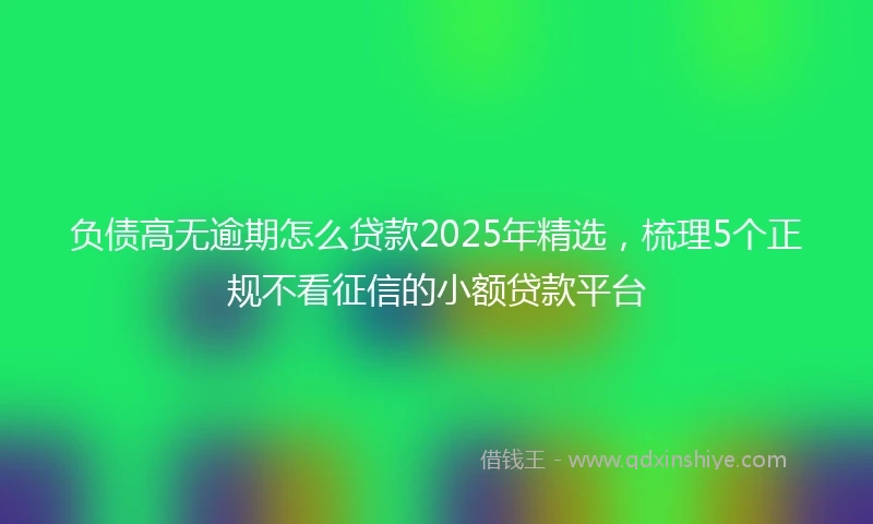 负债高无逾期怎么贷款2025年精选，梳理5个正规不看征信的小额贷款平台