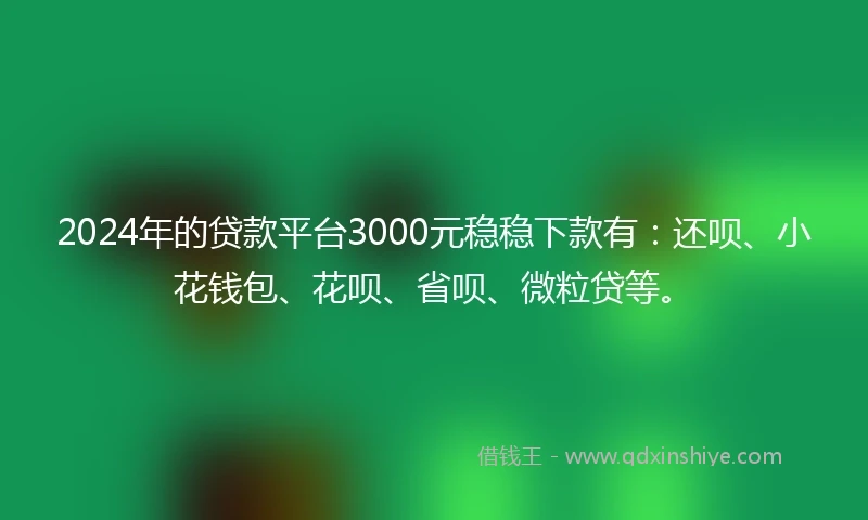 2024年的贷款平台3000元稳稳下款有：还呗、小花钱包、花呗、省呗、微粒贷等。