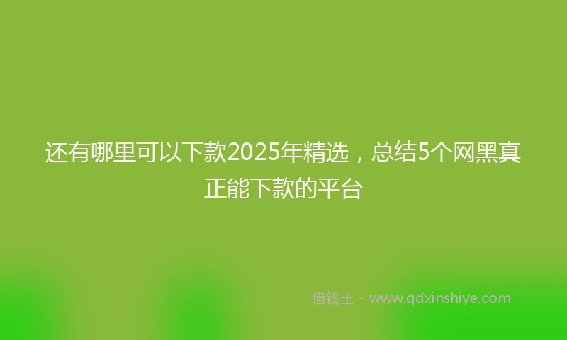 还有哪里可以下款2025年精选，总结5个网黑真正能下款的平台