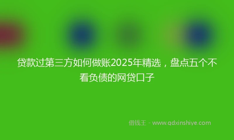 贷款过第三方如何做账2025年精选，盘点五个不看负债的网贷口子