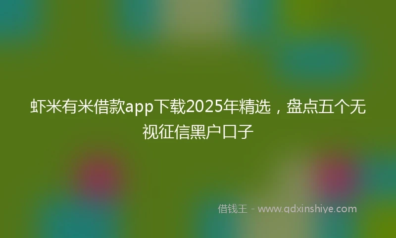 虾米有米借款app下载2025年精选，盘点五个无视征信黑户口子