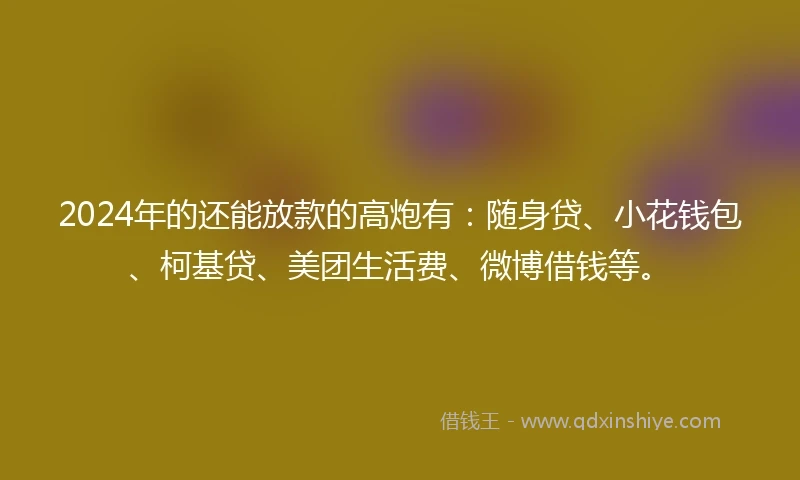 2024年的还能放款的高炮有：随身贷、小花钱包、柯基贷、美团生活费、微博借钱等。