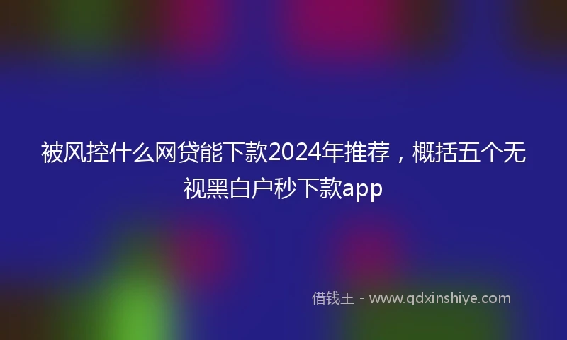 被风控什么网贷能下款2024年推荐，概括五个无视黑白户秒下款app