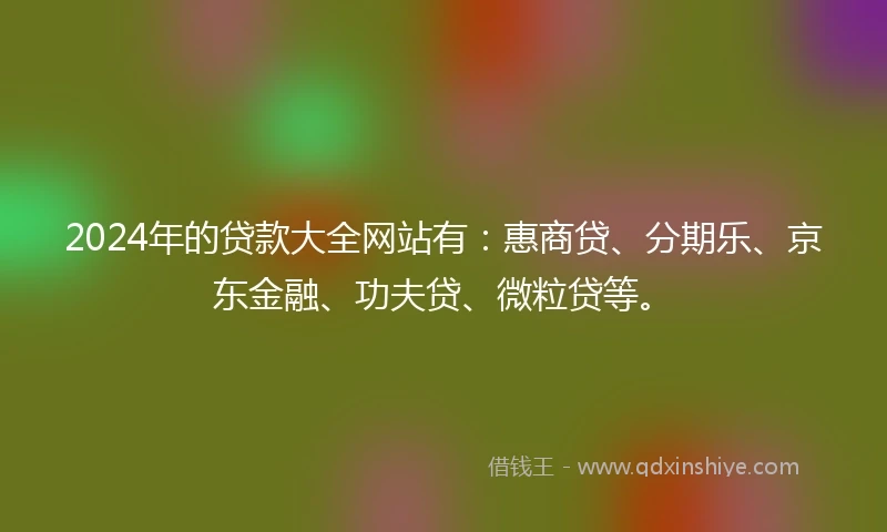 2024年的贷款大全网站有：惠商贷、分期乐、京东金融、功夫贷、微粒贷等。
