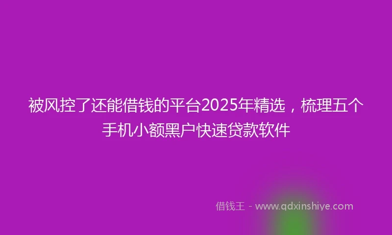 被风控了还能借钱的平台2025年精选，梳理五个手机小额黑户快速贷款软件