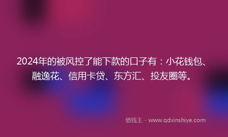 2024年的被风控了能下款的口子有：小花钱包、融逸花、信用卡贷、东方汇、投友圈等。