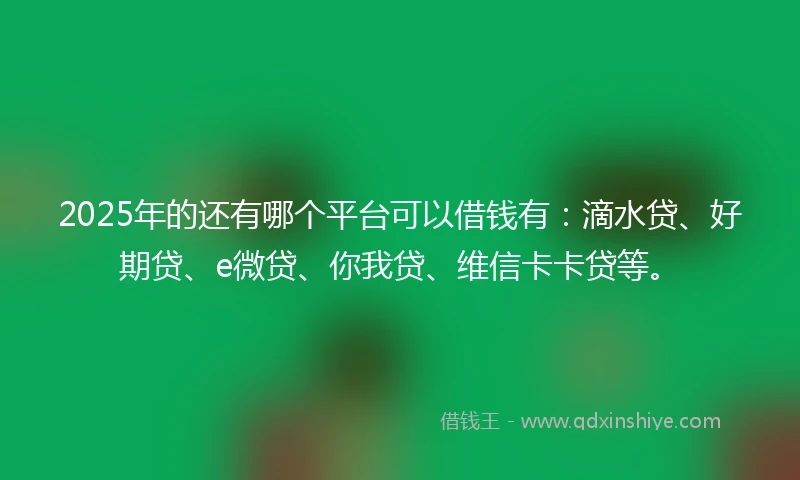 2025年的还有哪个平台可以借钱有：滴水贷、好期贷、e微贷、你我贷、维信卡卡贷等。