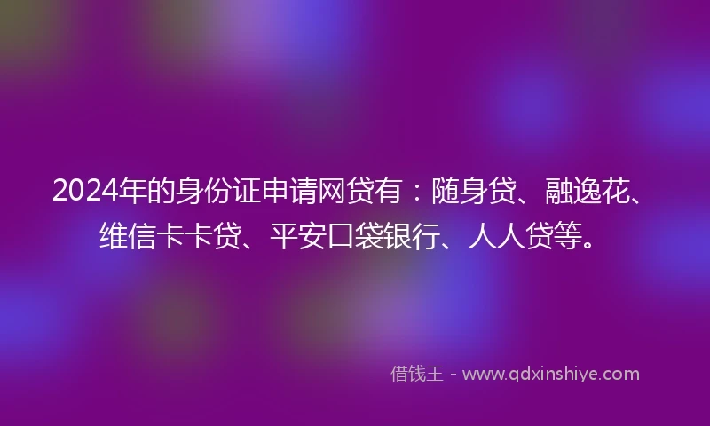 2024年的身份证申请网贷有：随身贷、融逸花、维信卡卡贷、平安口袋银行、人人贷等。