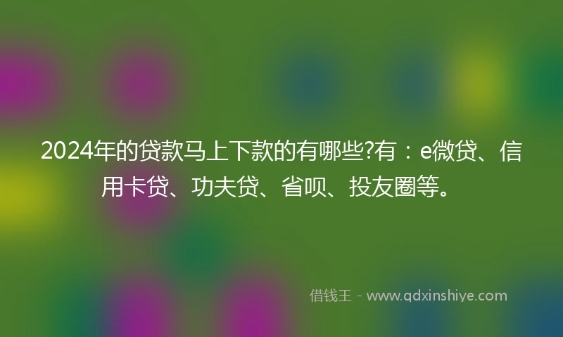 2024年的贷款马上下款的有哪些?有：e微贷、信用卡贷、功夫贷、省呗、投友圈等。