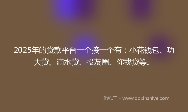 2025年的贷款平台一个接一个有：小花钱包、功夫贷、滴水贷、投友圈、你我贷等。