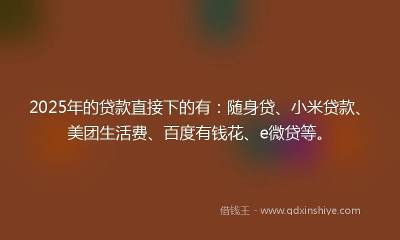 2025年的贷款直接下的有：随身贷、小米贷款、美团生活费、百度有钱花、e微贷等。
