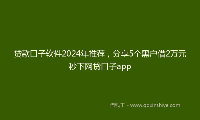 贷款口子软件2024年推荐，分享5个黑户借2万元秒下网贷口子app