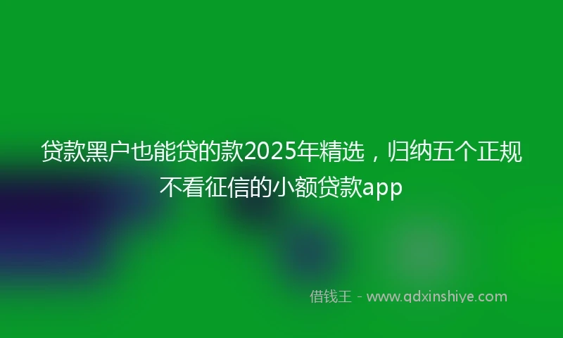 贷款黑户也能贷的款2025年精选，归纳五个正规不看征信的小额贷款app