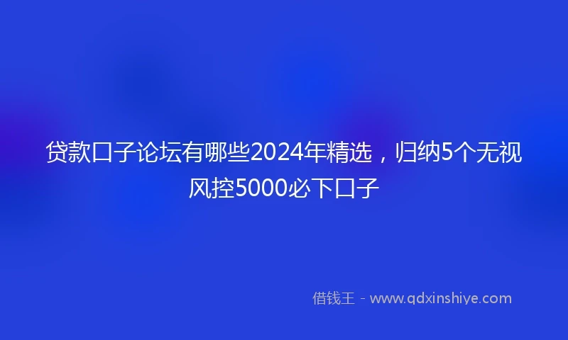 贷款口子论坛有哪些2024年精选，归纳5个无视风控5000必下口子
