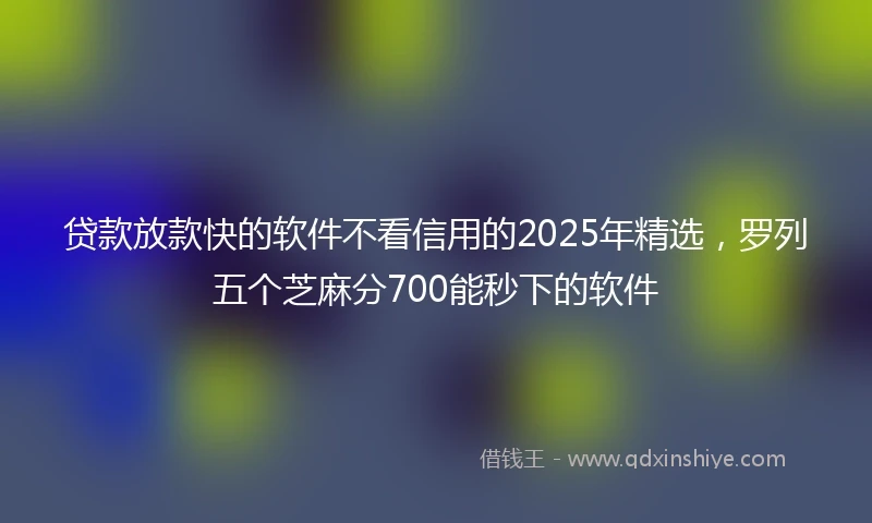 贷款放款快的软件不看信用的2025年精选，罗列五个芝麻分700能秒下的软件