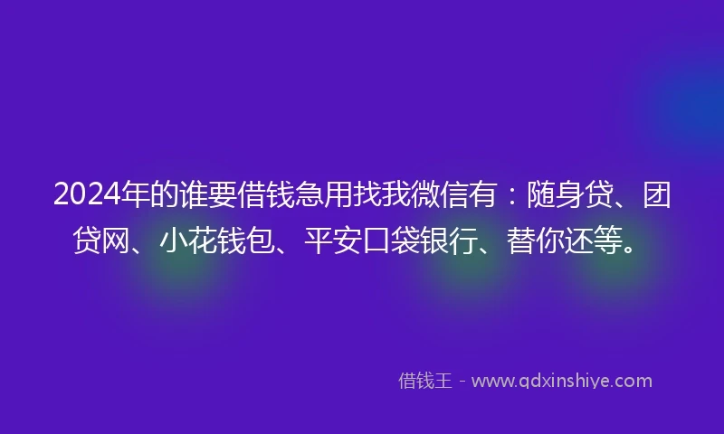 2024年的谁要借钱急用找我微信有：随身贷、团贷网、小花钱包、平安口袋银行、替你还等。