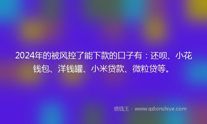 2024年的被风控了能下款的口子有：还呗、小花钱包、洋钱罐、小米贷款、微粒贷等。