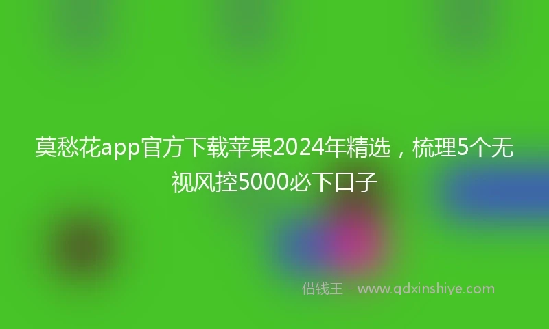 莫愁花app官方下载苹果2024年精选，梳理5个无视风控5000必下口子