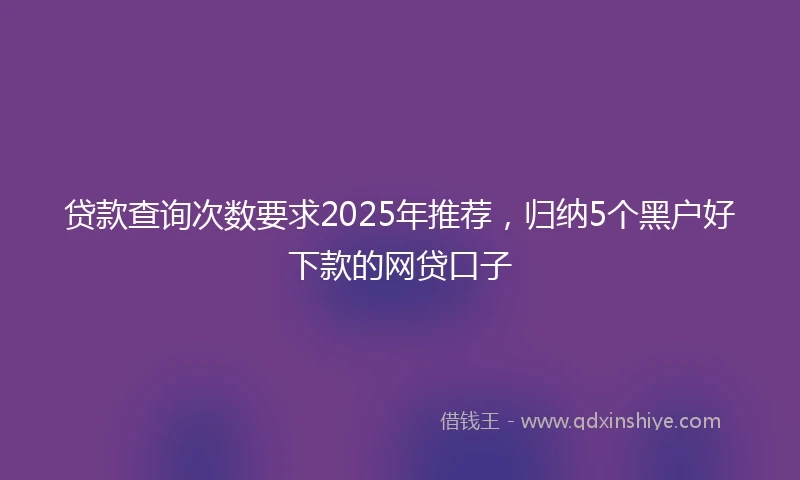贷款查询次数要求2025年推荐，归纳5个黑户好下款的网贷口子