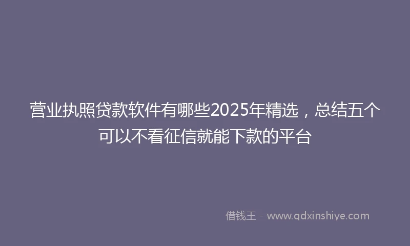 营业执照贷款软件有哪些2025年精选，总结五个可以不看征信就能下款的平台