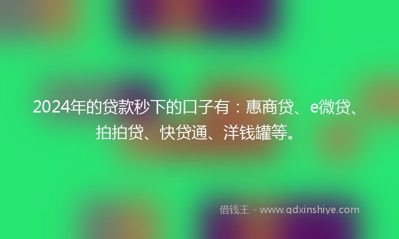 2024年的贷款秒下的口子有：惠商贷、e微贷、拍拍贷、快贷通、洋钱罐等。