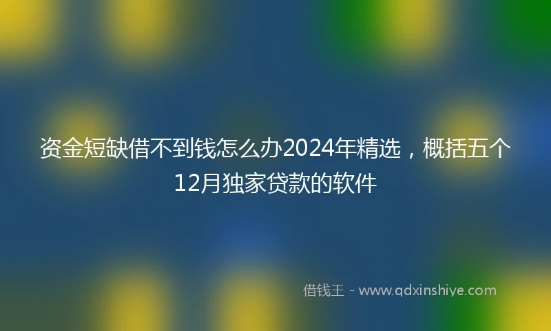 资金短缺借不到钱怎么办2024年精选，概括五个12月独家贷款的软件