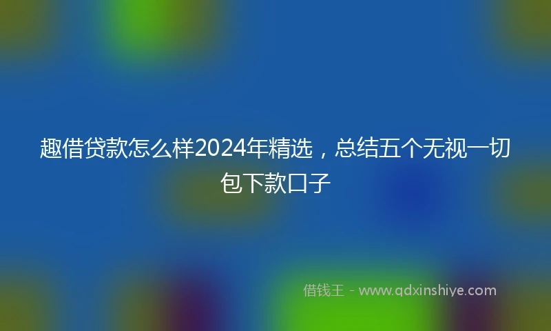 趣借贷款怎么样2024年精选，总结五个无视一切包下款口子