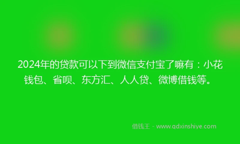 2024年的贷款可以下到微信支付宝了嘛有：小花钱包、省呗、东方汇、人人贷、微博借钱等。