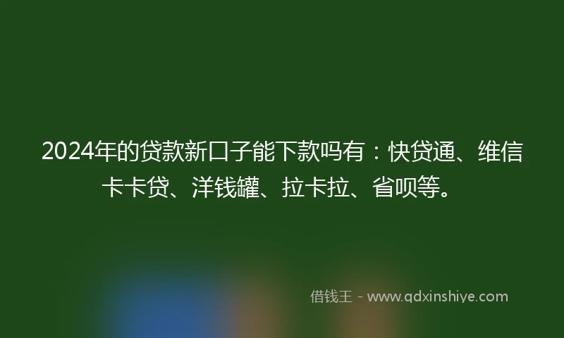2024年的贷款新口子能下款吗有：快贷通、维信卡卡贷、洋钱罐、拉卡拉、省呗等。