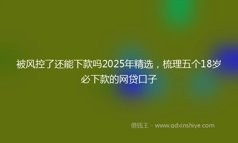 被风控了还能下款吗2025年精选，梳理五个18岁必下款的网贷口子