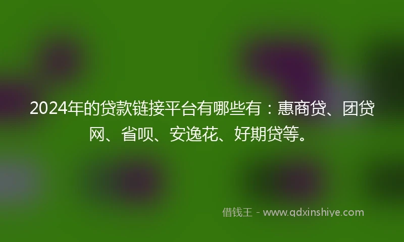 2024年的贷款链接平台有哪些有：惠商贷、团贷网、省呗、安逸花、好期贷等。