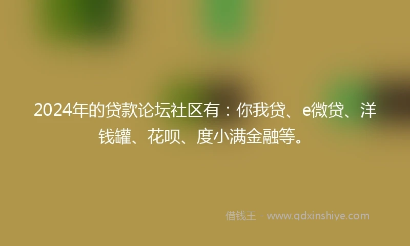2024年的贷款论坛社区有：你我贷、e微贷、洋钱罐、花呗、度小满金融等。