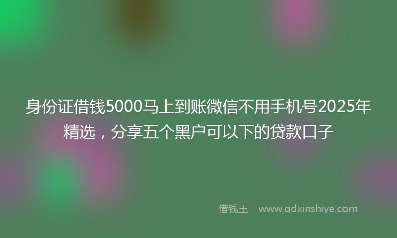 身份证借钱5000马上到账微信不用手机号2025年精选，分享五个黑户可以下的贷款口子
