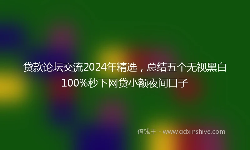 贷款论坛交流2024年精选，总结五个无视黑白100%秒下网贷小额夜间口子