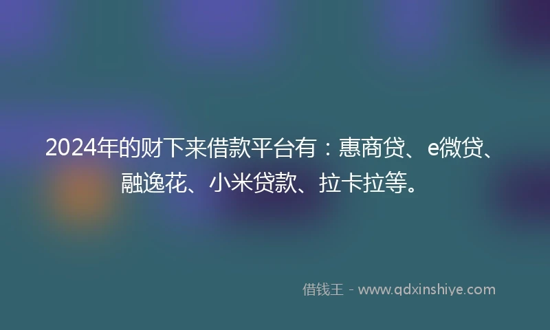 2024年的财下来借款平台有：惠商贷、e微贷、融逸花、小米贷款、拉卡拉等。