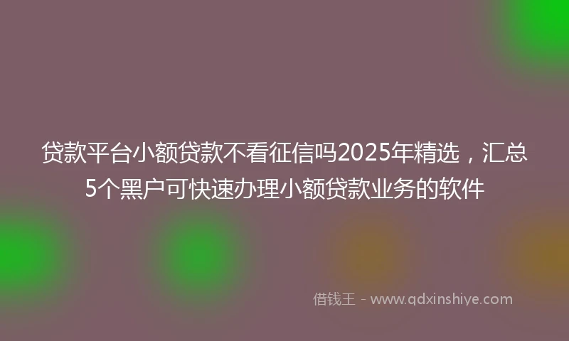 贷款平台小额贷款不看征信吗2025年精选，汇总5个黑户可快速办理小额贷款业务的软件