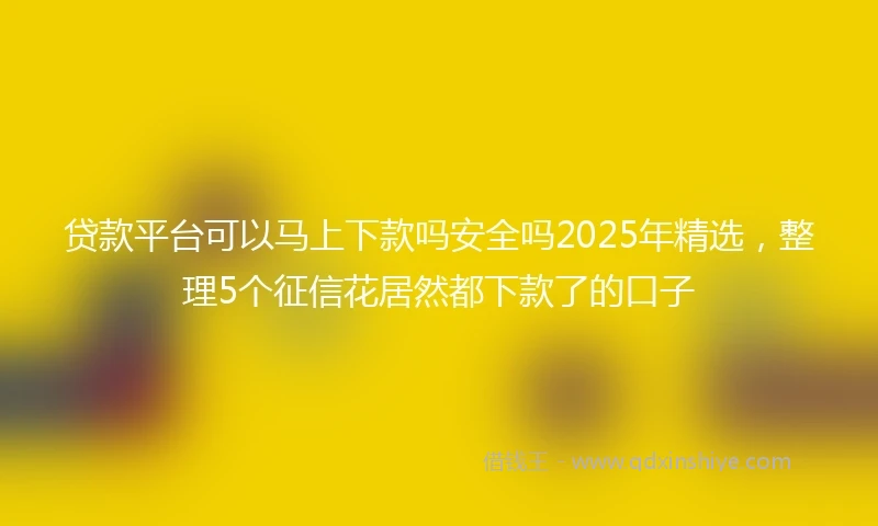 贷款平台可以马上下款吗安全吗2025年精选，整理5个征信花居然都下款了的口子