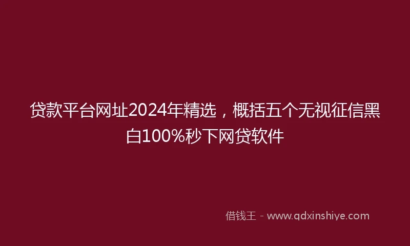 贷款平台网址2024年精选，概括五个无视征信黑白100%秒下网贷软件