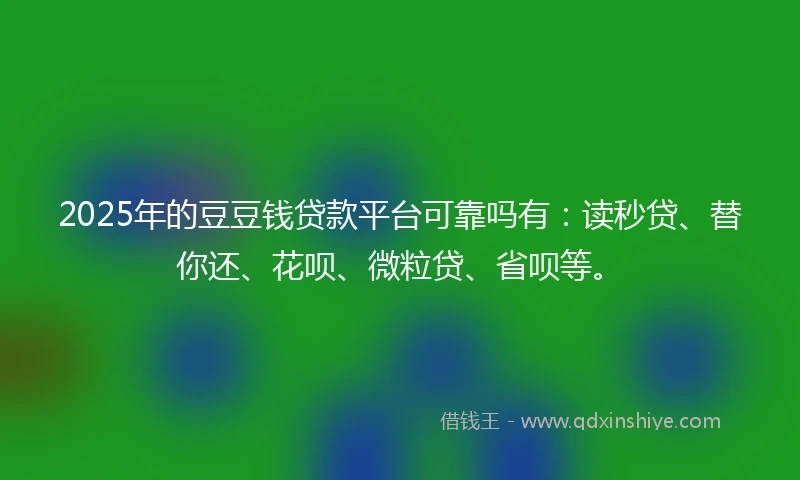 2025年的豆豆钱贷款平台可靠吗有：读秒贷、替你还、花呗、微粒贷、省呗等。