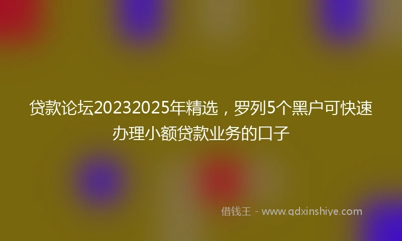 贷款论坛20232025年精选，罗列5个黑户可快速办理小额贷款业务的口子