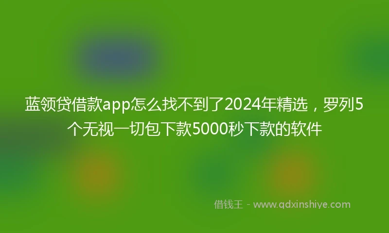 蓝领贷借款app怎么找不到了2024年精选，罗列5个无视一切包下款5000秒下款的软件