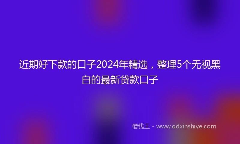 近期好下款的口子2024年精选，整理5个无视黑白的最新贷款口子