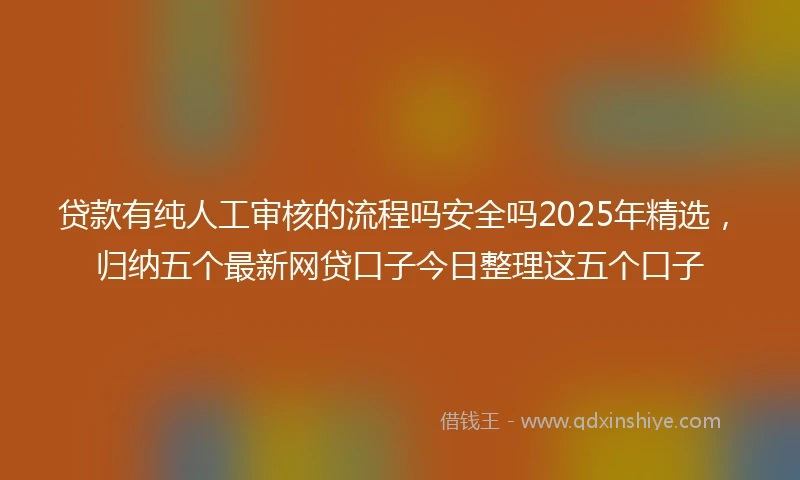 贷款有纯人工审核的流程吗安全吗2025年精选，归纳五个最新网贷口子今日整理这五个口子