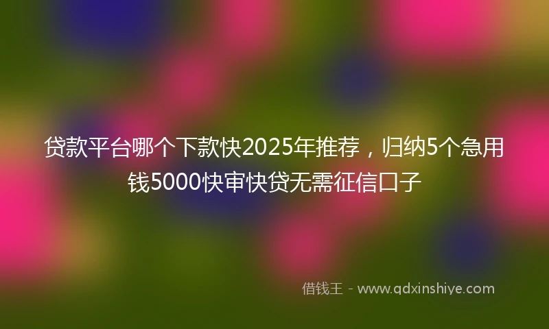 贷款平台哪个下款快2025年推荐，归纳5个急用钱5000快审快贷无需征信口子