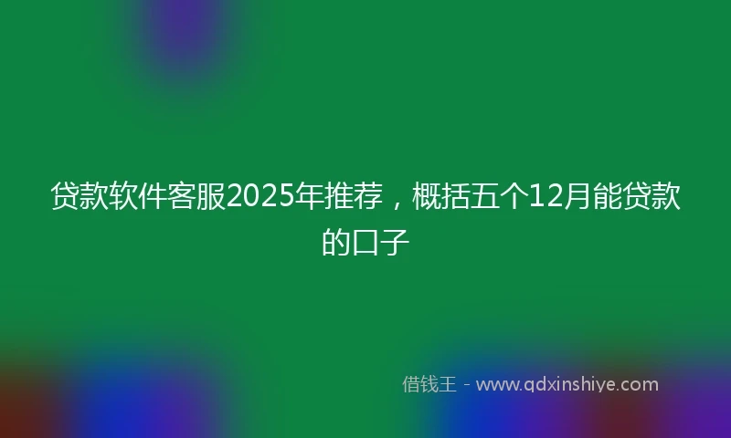 贷款软件客服2025年推荐，概括五个12月能贷款的口子