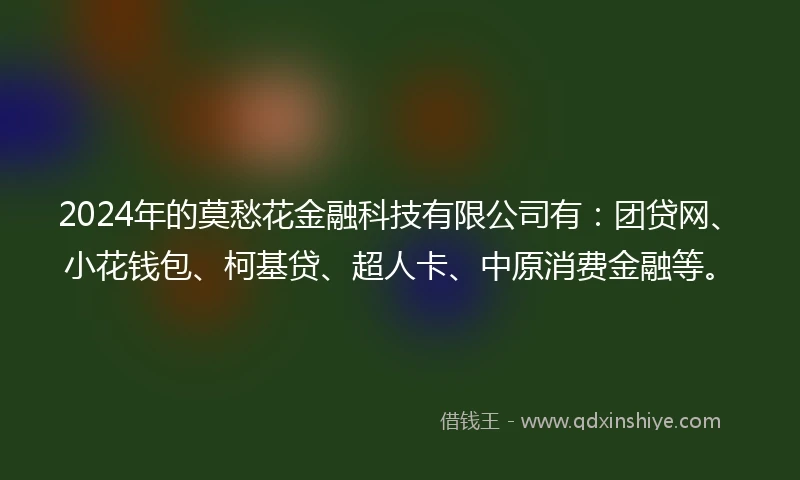 2024年的莫愁花金融科技有限公司有：团贷网、小花钱包、柯基贷、超人卡、中原消费金融等。